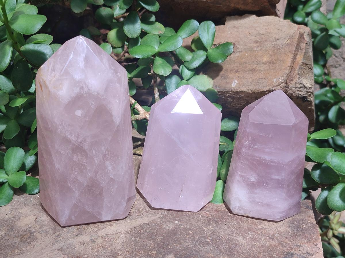 Polished Gemmy Rose Quartz Crystals x 3 From Madagascar - Toprock Gemstones and Minerals 