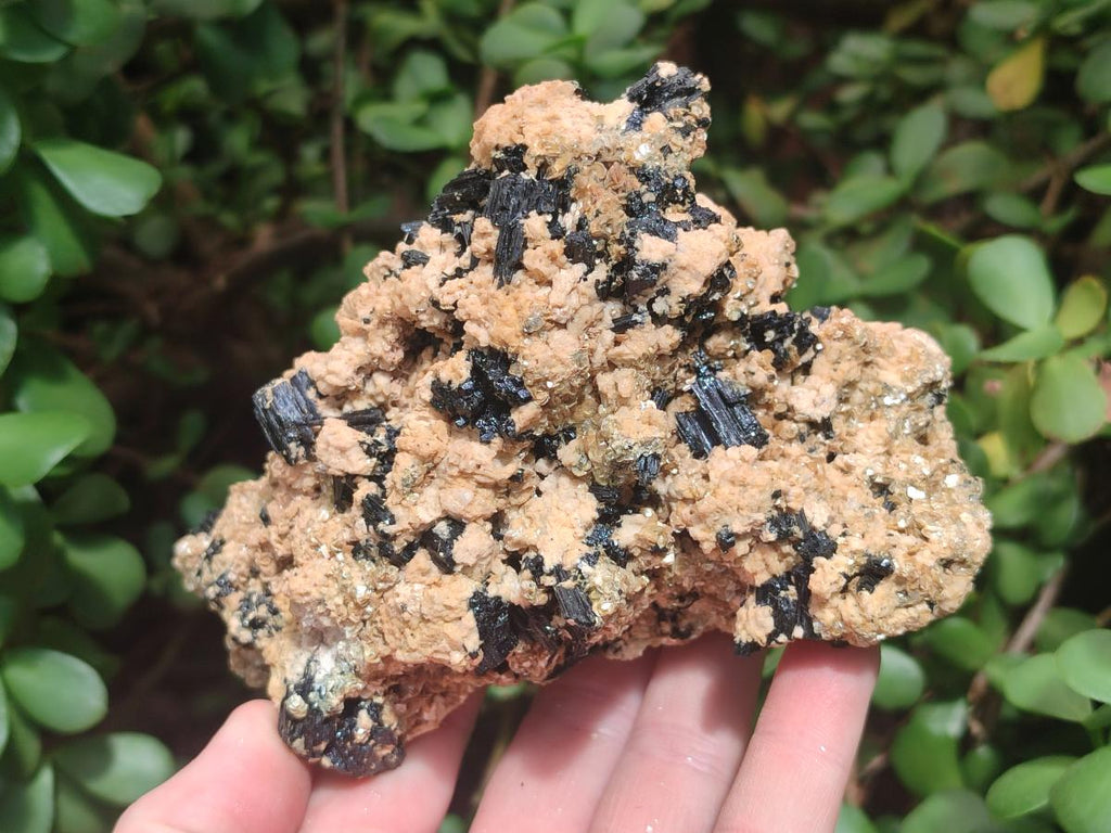 Natural Schorl Black Tourmaline Specimens with Muscovite Mica x 3 From Erongo, Namibia - Toprock Gemstones and Minerals 