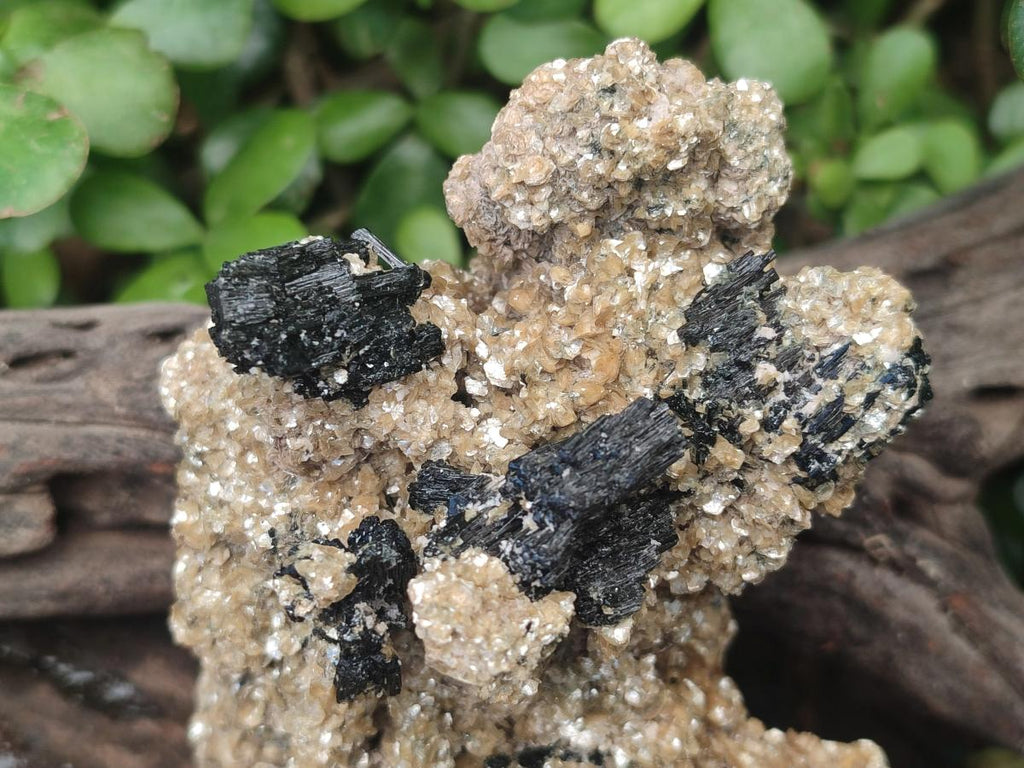 Natural Schorl Black Tourmaline Specimens with Muscovite Mica x 3 From Erongo, Namibia - Toprock Gemstones and Minerals 