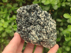 Natural Schorl Black Tourmaline Specimens with Muscovite Mica x 3 From Erongo, Namibia - Toprock Gemstones and Minerals 