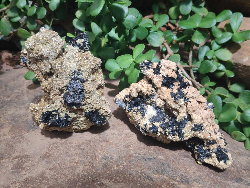 Natural Schorl Black Tourmaline Specimens with Muscovite Mica x 3 From Erongo, Namibia - Toprock Gemstones and Minerals 