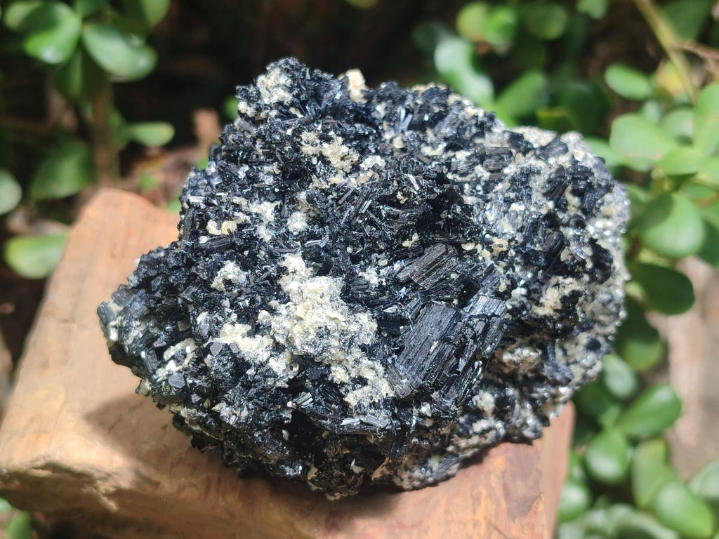 Natural Schorl Black Tourmaline Specimens with Muscovite Mica x 3 From Erongo, Namibia - Toprock Gemstones and Minerals 