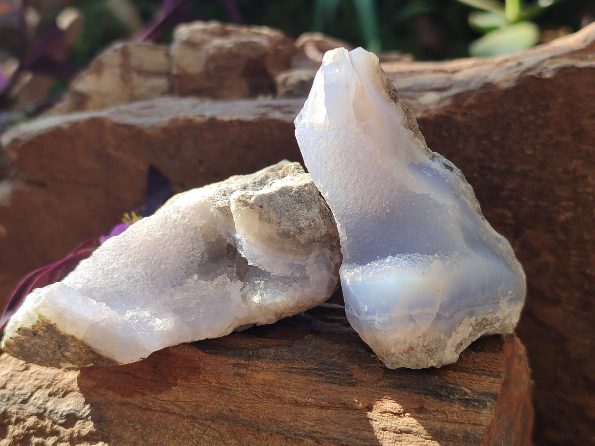Natural Blue Lace Agate Geode Specimens x 24 From Nsanje, Malawi - Toprock Gemstones and Minerals 
