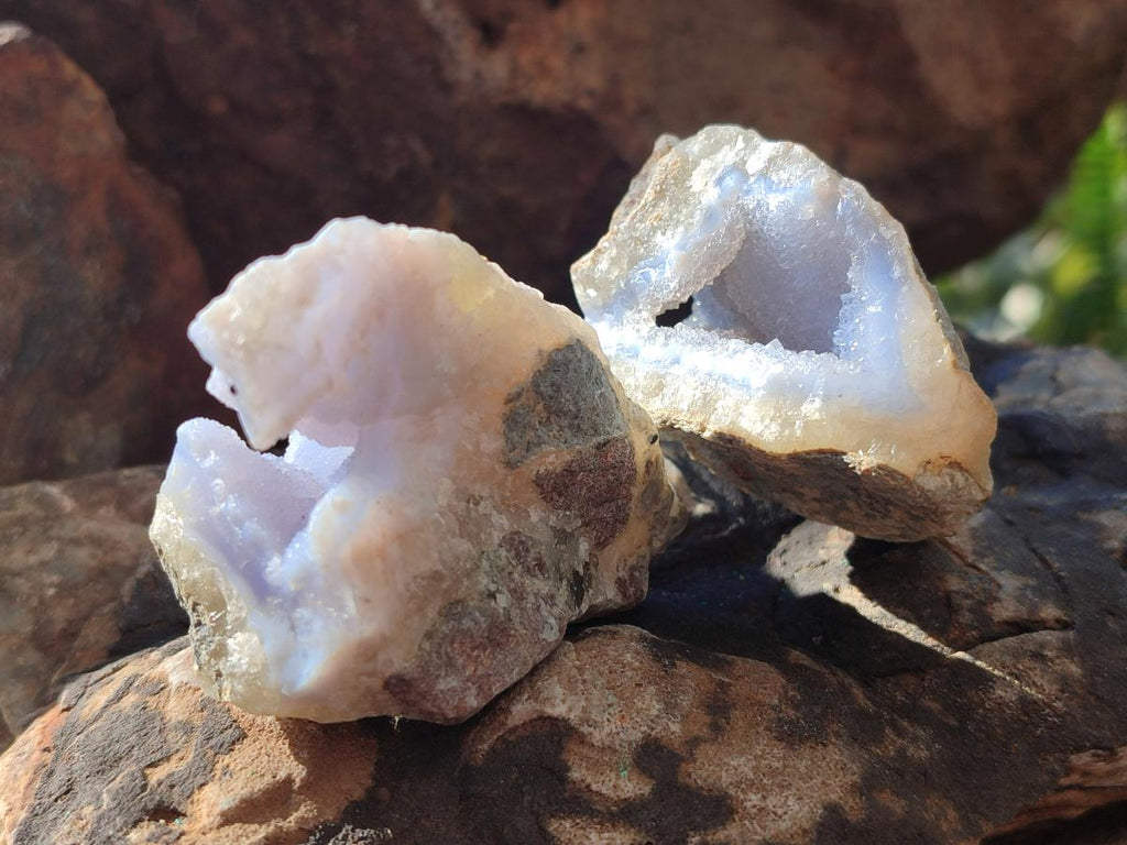 Natural Blue Lace Agate Geode Specimens x 24 From Nsanje, Malawi - Toprock Gemstones and Minerals 