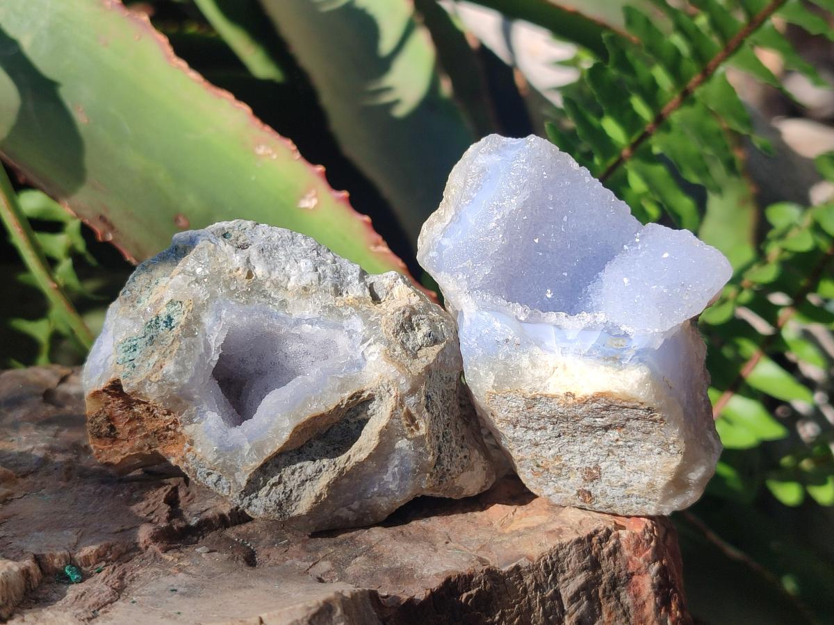 Natural Blue Lace Agate Geode Specimens x 24 From Nsanje, Malawi - Toprock Gemstones and Minerals 