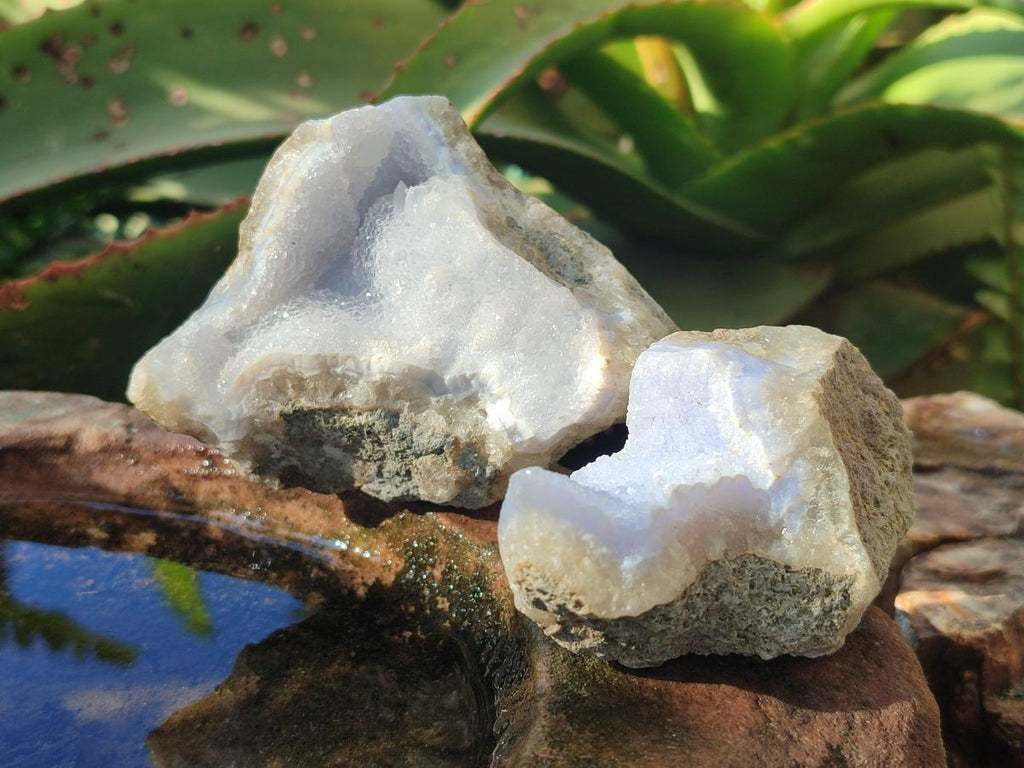 Natural Blue Lace Agate Geode Specimens x 24 From Nsanje, Malawi - Toprock Gemstones and Minerals 