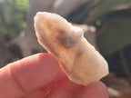Natural Drusy Fairy Spirit Quartz Single Crystals x 87 From Boekenhouthoek, South Africa - Toprock Gemstones and Minerals 