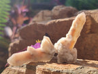 Natural Drusy Fairy Spirit Quartz Single Crystals x 87 From Boekenhouthoek, South Africa - Toprock Gemstones and Minerals 