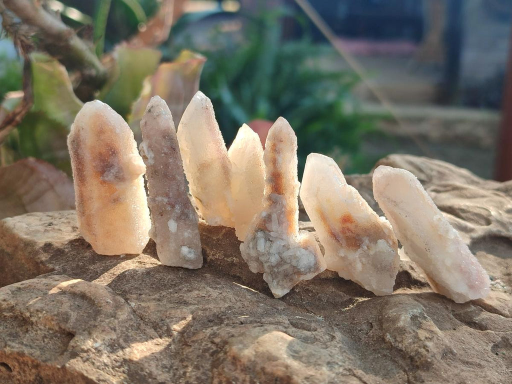 Natural Drusy Fairy Spirit Quartz Single Crystals x 87 From Boekenhouthoek, South Africa - Toprock Gemstones and Minerals 