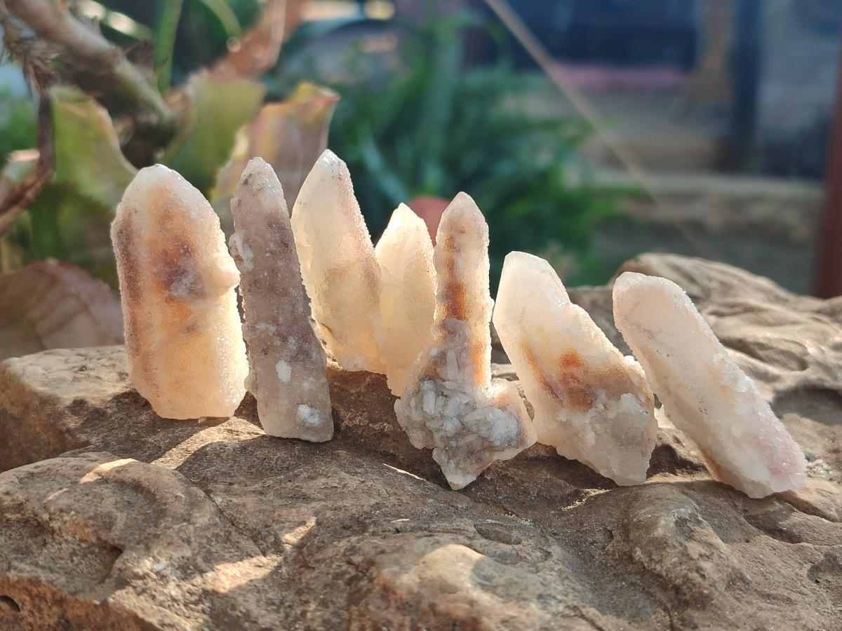 Natural Drusy Fairy Spirit Quartz Single Crystals x 87 From Boekenhouthoek, South Africa - Toprock Gemstones and Minerals 