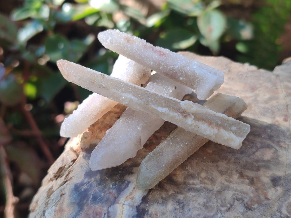 Natural Drusy Fairy Spirit Quartz Single Crystals x 87 From Boekenhouthoek, South Africa - Toprock Gemstones and Minerals 