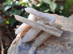 Natural Drusy Fairy Spirit Quartz Single Crystals x 87 From Boekenhouthoek, South Africa - Toprock Gemstones and Minerals 