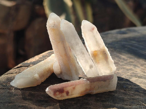 Natural Drusy Fairy Spirit Quartz Single Crystals x 87 From Boekenhouthoek, South Africa - Toprock Gemstones and Minerals 