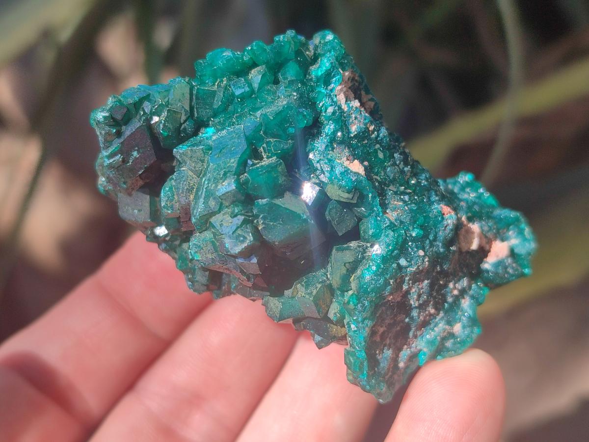 Natural Dioptase Specimens on Dolomite Matrix x 12 From Tantara Mine, Congo - Toprock Gemstones and Minerals 