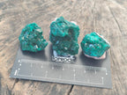 Natural Dioptase Specimens on Dolomite Matrix x 12 From Tantara Mine, Congo - Toprock Gemstones and Minerals 