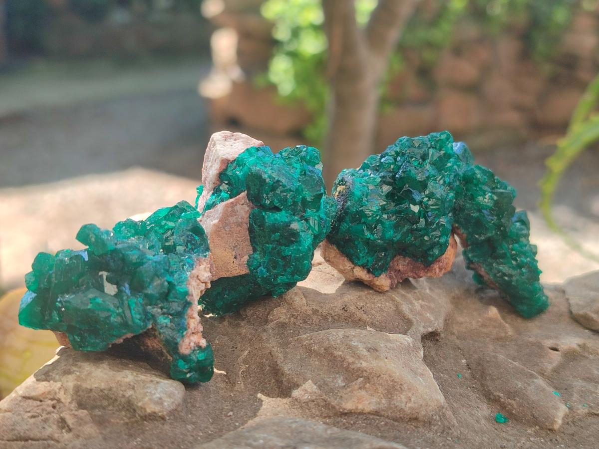 Natural Dioptase Specimens on Dolomite Matrix x 12 From Tantara Mine, Congo - Toprock Gemstones and Minerals 