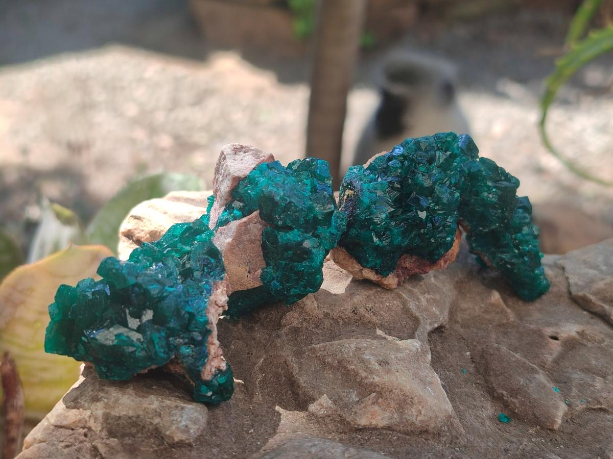 Natural Dioptase Specimens on Dolomite Matrix x 12 From Tantara Mine, Congo - Toprock Gemstones and Minerals 