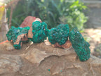 Natural Dioptase Specimens on Dolomite Matrix x 12 From Tantara Mine, Congo - Toprock Gemstones and Minerals 