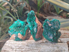Natural Dioptase Specimens on Dolomite Matrix x 12 From Tantara Mine, Congo - Toprock Gemstones and Minerals 
