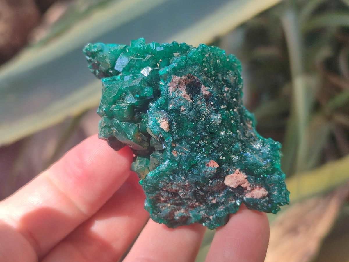 Natural Dioptase Specimens on Dolomite Matrix x 12 From Tantara Mine, Congo - Toprock Gemstones and Minerals 