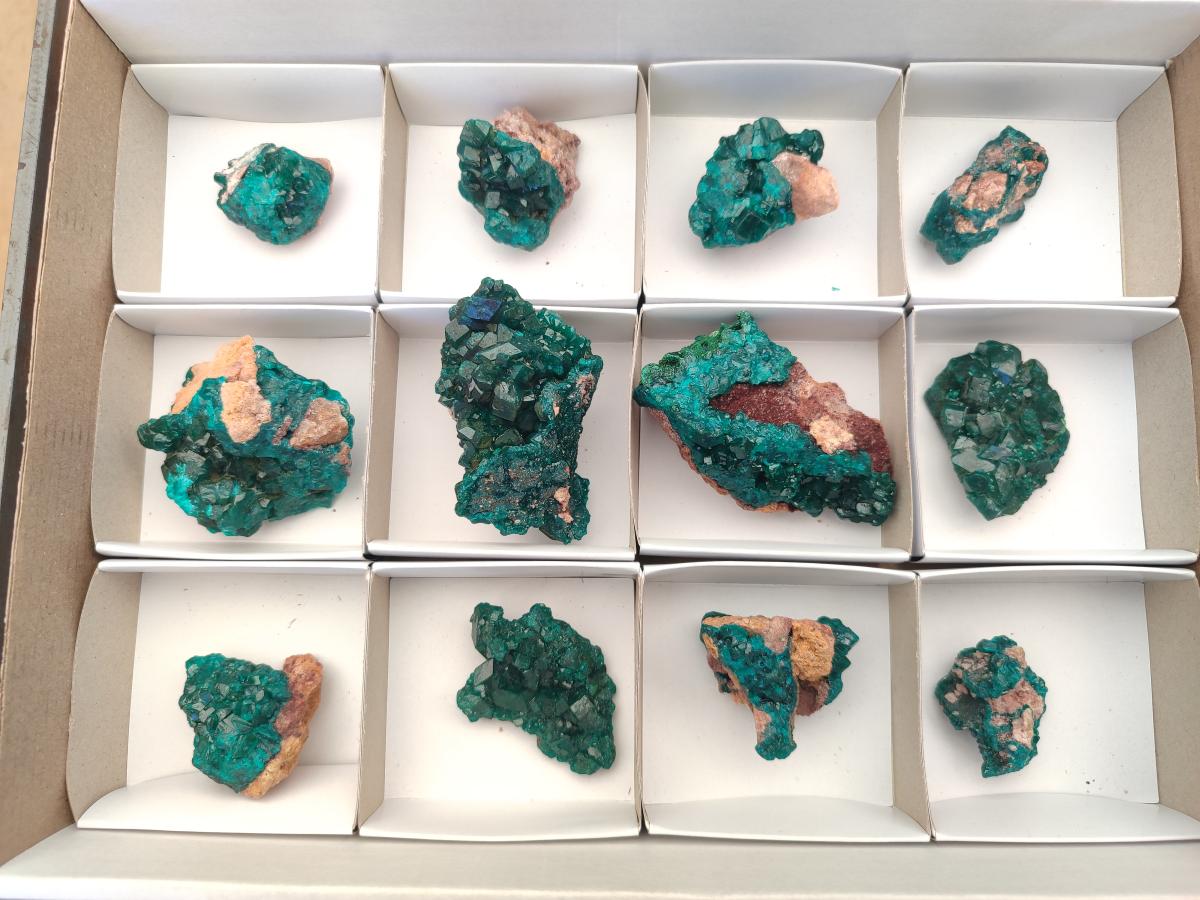 Natural Dioptase Specimens on Dolomite Matrix x 12 From Tantara Mine, Congo - Toprock Gemstones and Minerals 