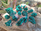 Natural Dioptase Specimens on Dolomite Matrix x 12 From Tantara Mine, Congo - Toprock Gemstones and Minerals 