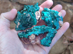 Natural Dioptase Specimens on Dolomite Matrix x 12 From Tantara Mine, Congo - Toprock Gemstones and Minerals 