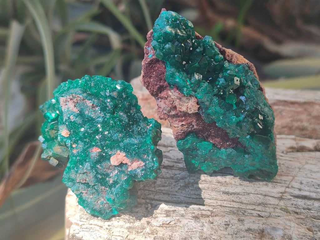Natural Dioptase Specimens on Dolomite Matrix x 12 From Tantara Mine, Congo - Toprock Gemstones and Minerals 