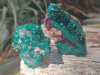 Natural Dioptase Specimens on Dolomite Matrix x 12 From Tantara Mine, Congo - Toprock Gemstones and Minerals 