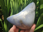 Polished and Natural Blue Lace Agate Free Forms x 3 From Nsanje, Malawi - Toprock Gemstones and Minerals 