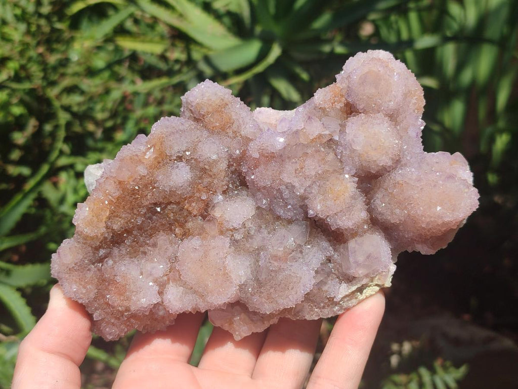 Natural Spirit Amethyst Clusters x 2 From Boekenhouthoek, South Africa - Toprock Gemstones and Minerals 
