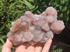 Natural Spirit Amethyst Clusters x 2 From Boekenhouthoek, South Africa - Toprock Gemstones and Minerals 