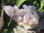 Natural Spirit Amethyst Clusters x 2 From Boekenhouthoek, South Africa - Toprock Gemstones and Minerals 