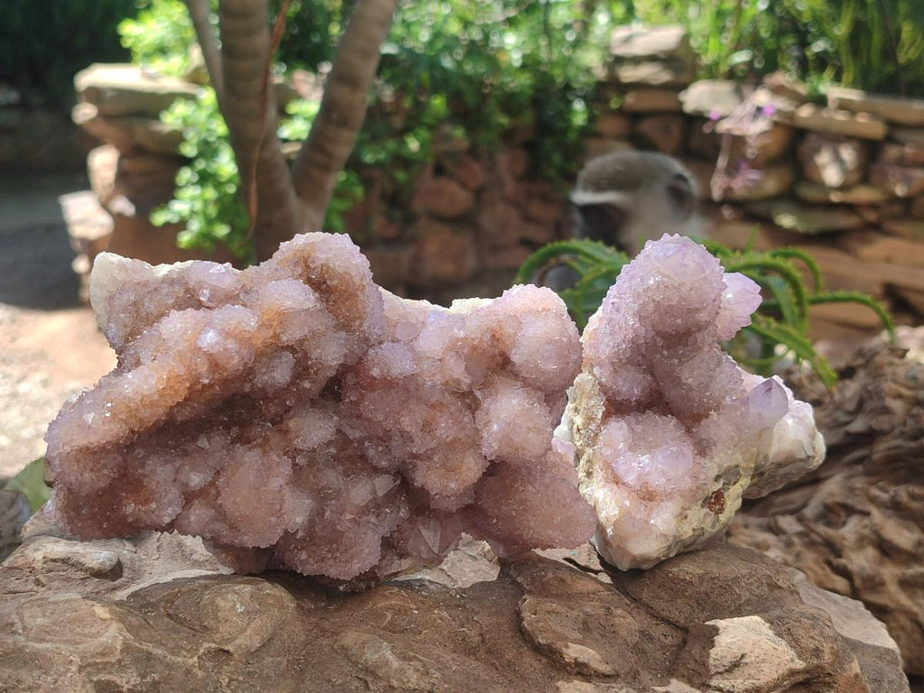Natural Spirit Amethyst Clusters x 2 From Boekenhouthoek, South Africa - Toprock Gemstones and Minerals 