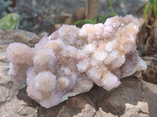 Natural Spirit Amethyst Clusters x 2 From Boekenhouthoek, South Africa - Toprock Gemstones and Minerals 
