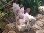 Natural Spirit Amethyst Clusters x 2 From Boekenhouthoek, South Africa - Toprock Gemstones and Minerals 