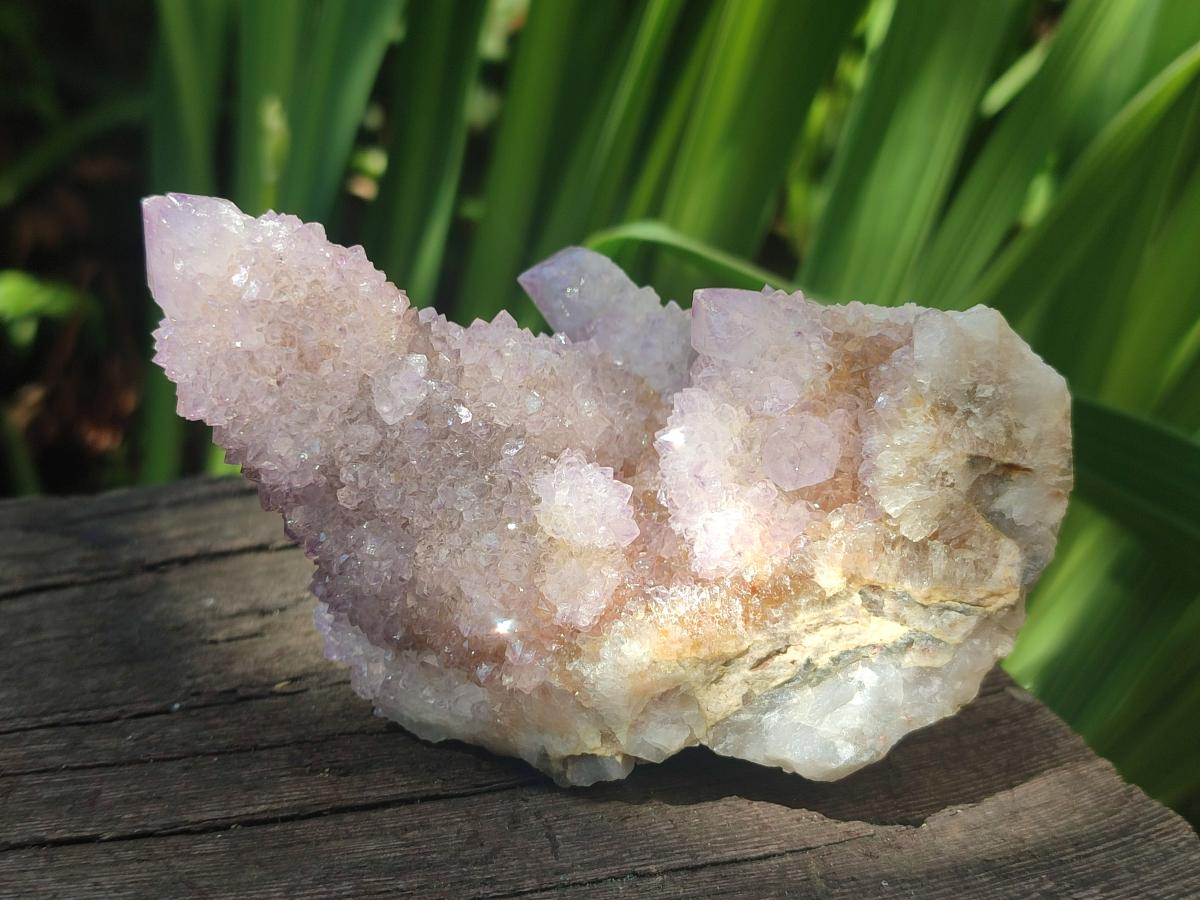 Natural Spirit Amethyst Clusters x 2 From Boekenhouthoek, South Africa - Toprock Gemstones and Minerals 