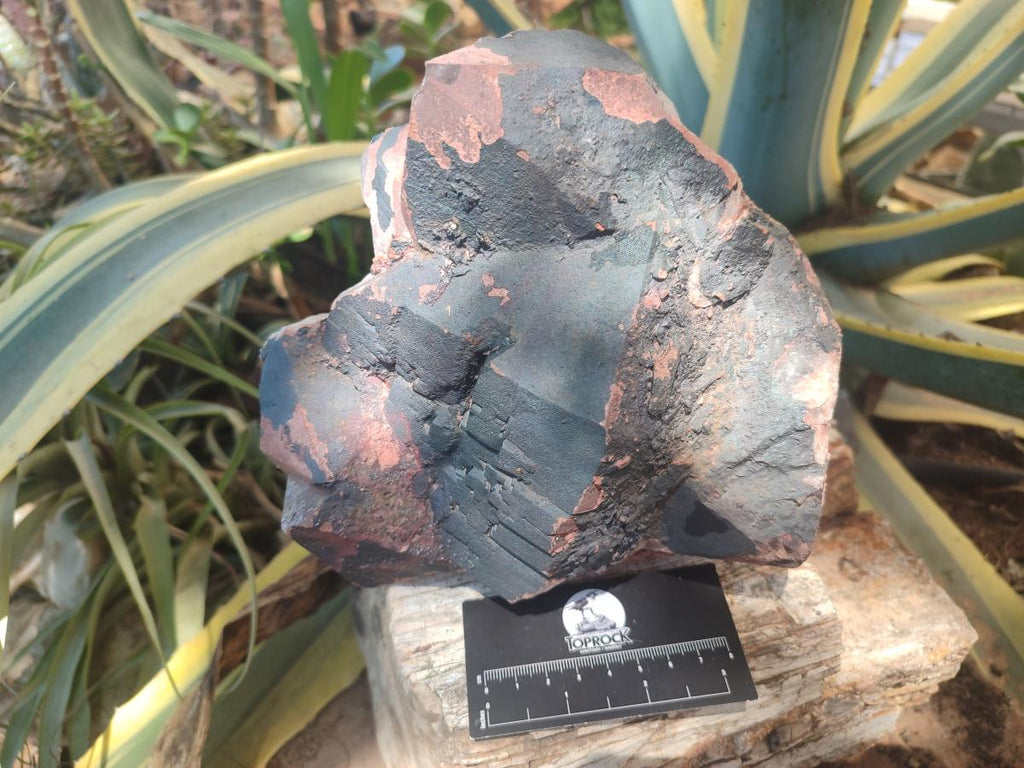 Natural Large Goethite Coated Blacknite Quartz Cluster x 1 From Madagascar - Toprock Gemstones and Minerals 