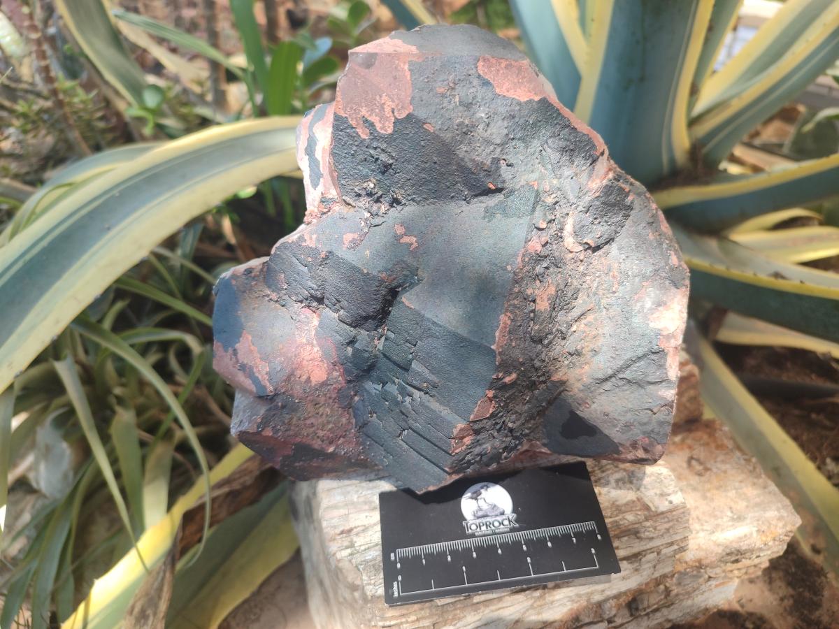 Natural Large Goethite Coated Blacknite Quartz Cluster x 1 From Madagascar - Toprock Gemstones and Minerals 