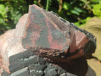 Natural Large Goethite Coated Blacknite Quartz Cluster x 1 From Madagascar - Toprock Gemstones and Minerals 
