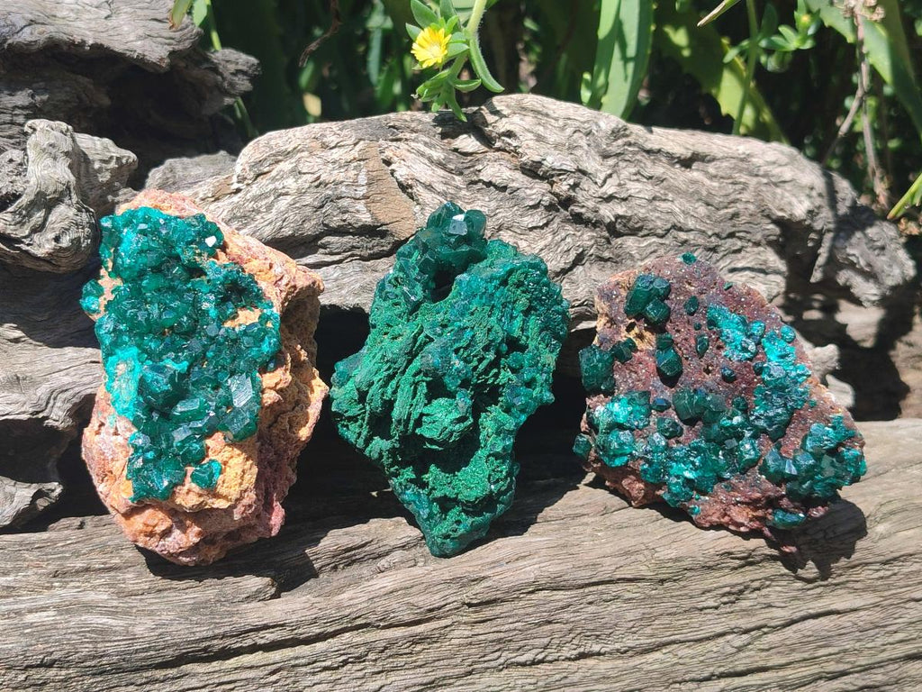 Natural Dioptase Specimens on Dolomite Matrix x 3 From Tantara Mine, Congo - Toprock Gemstones and Minerals 