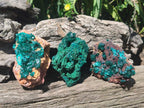 Natural Dioptase Specimens on Dolomite Matrix x 3 From Tantara Mine, Congo - Toprock Gemstones and Minerals 