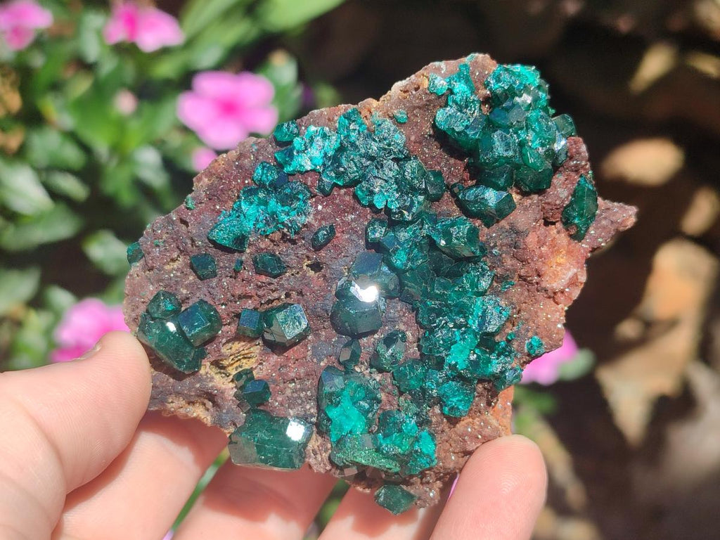 Natural Dioptase Specimens on Dolomite Matrix x 3 From Tantara Mine, Congo - Toprock Gemstones and Minerals 