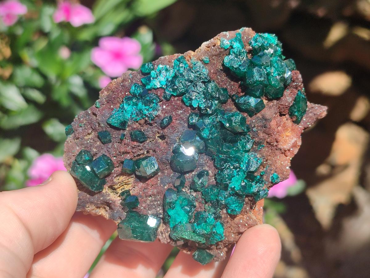 Natural Dioptase Specimens on Dolomite Matrix x 3 From Tantara Mine, Congo - Toprock Gemstones and Minerals 