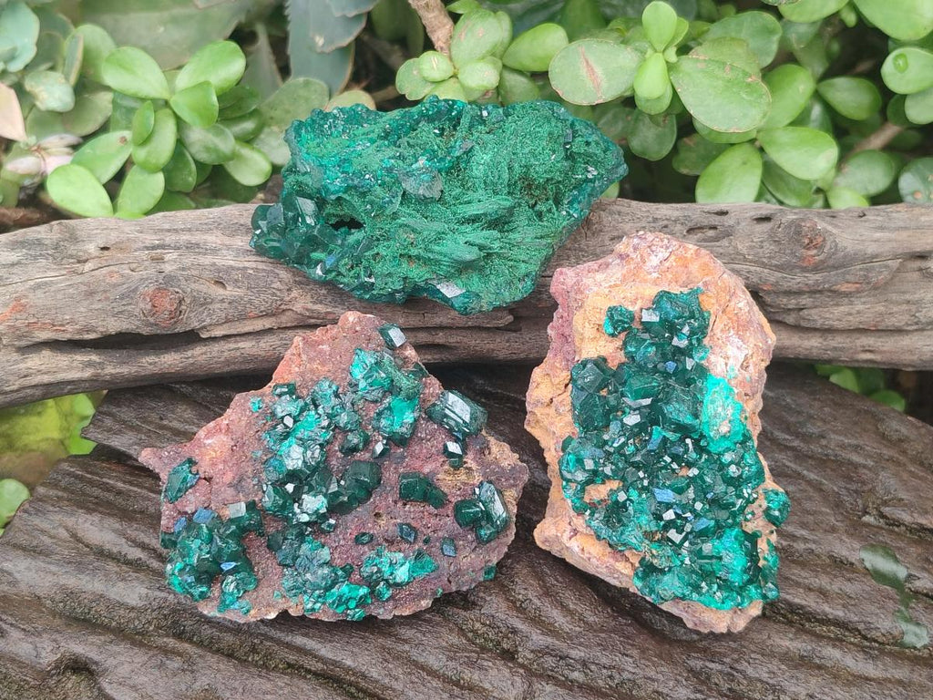 Natural Dioptase Specimens on Dolomite Matrix x 3 From Tantara Mine, Congo - Toprock Gemstones and Minerals 