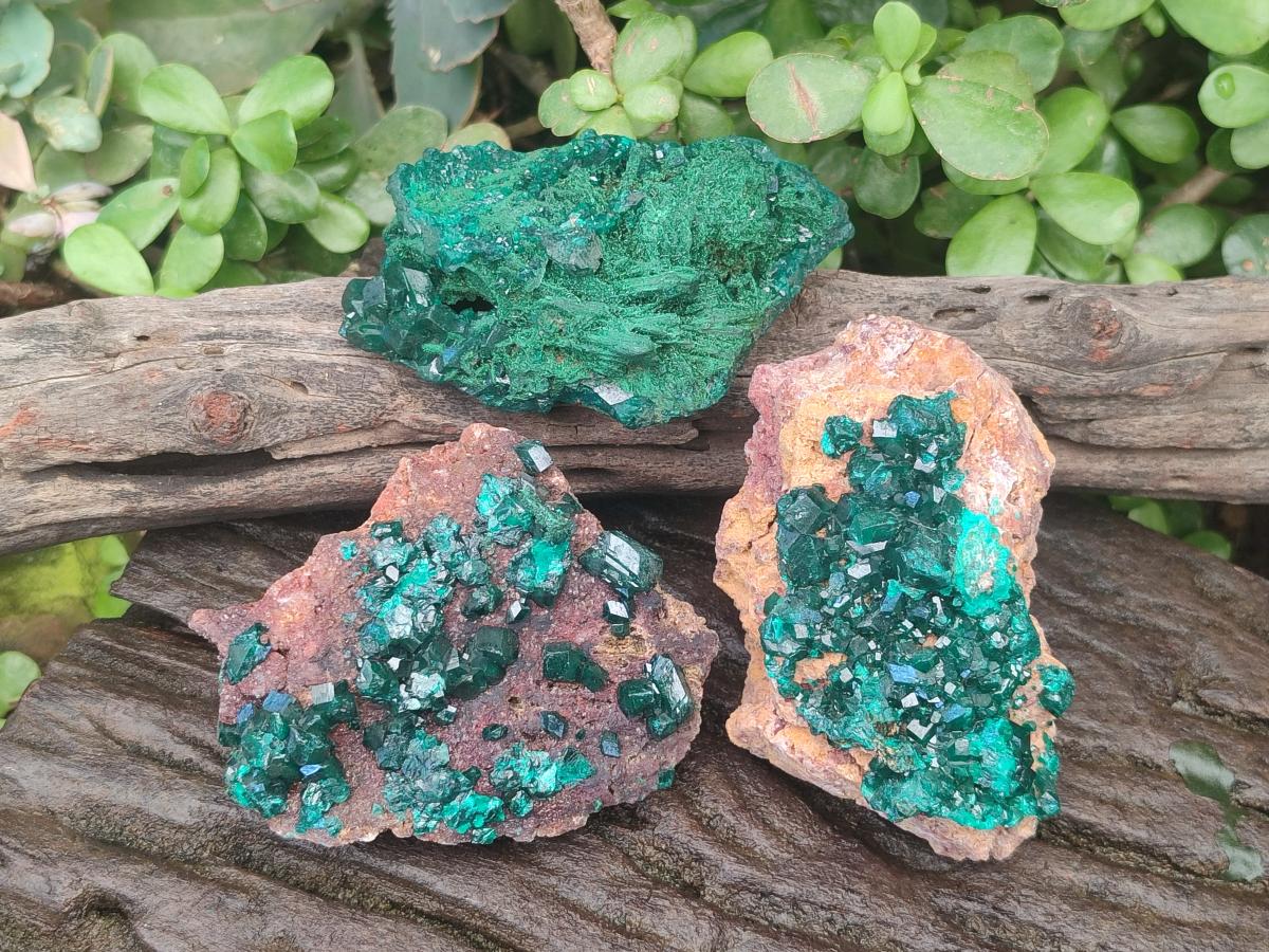 Natural Dioptase Specimens on Dolomite Matrix x 3 From Tantara Mine, Congo - Toprock Gemstones and Minerals 