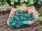 Natural Dioptase Specimens on Dolomite Matrix x 3 From Tantara Mine, Congo - Toprock Gemstones and Minerals 