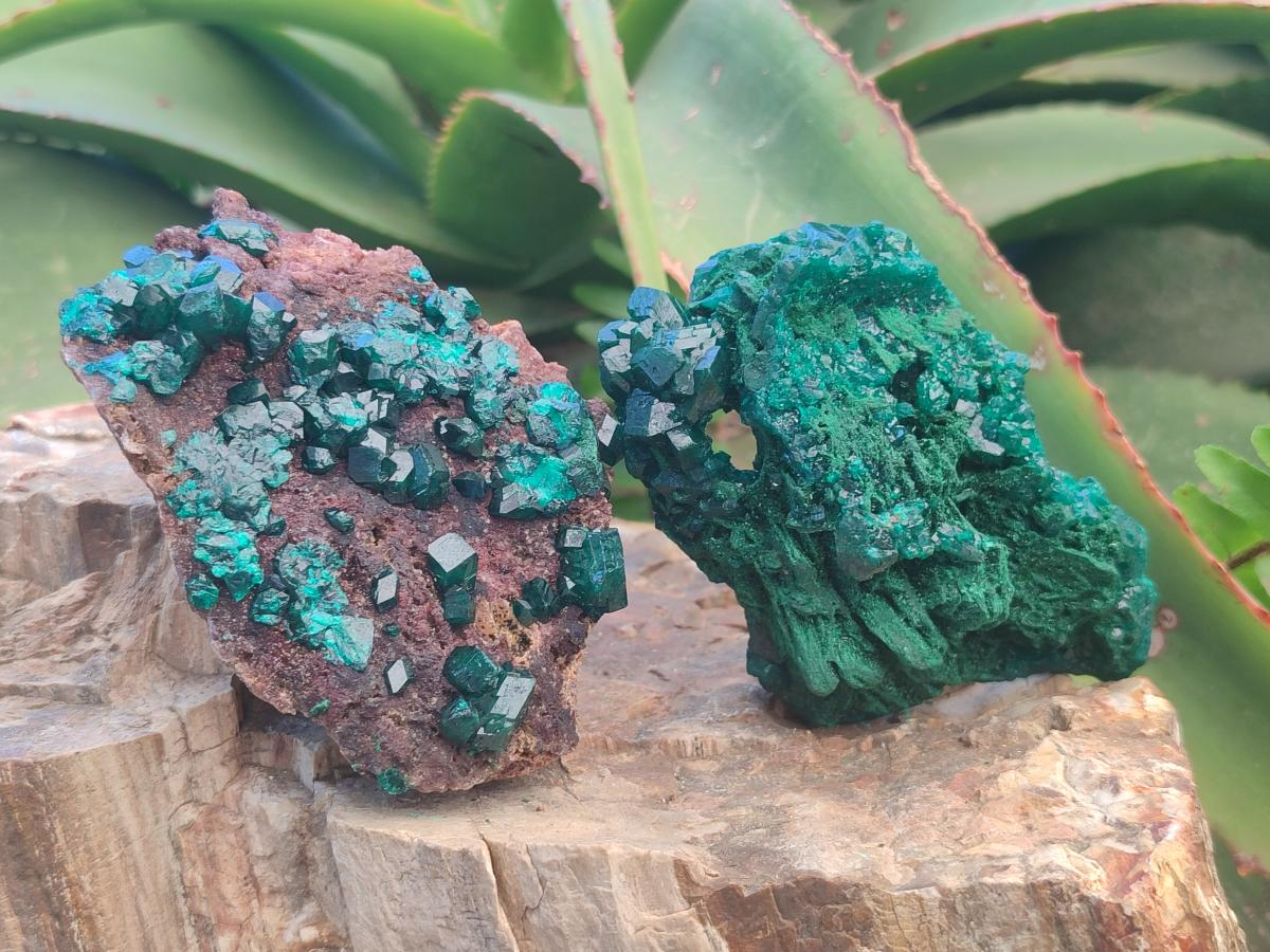 Natural Dioptase Specimens on Dolomite Matrix x 3 From Tantara Mine, Congo - Toprock Gemstones and Minerals 
