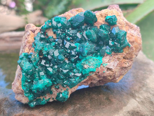 Natural Dioptase Specimens on Dolomite Matrix x 3 From Tantara Mine, Congo - Toprock Gemstones and Minerals 