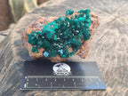 Natural Dioptase Specimens on Dolomite Matrix x 3 From Tantara Mine, Congo - Toprock Gemstones and Minerals 